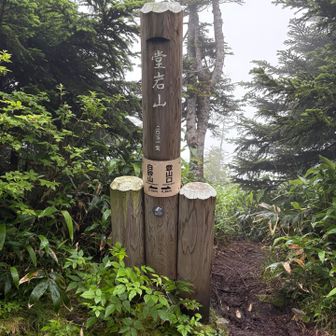 堂岩山からの眺望もなし
霧雨も降り始め雨具を出そうか迷う