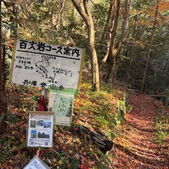 降りてきました