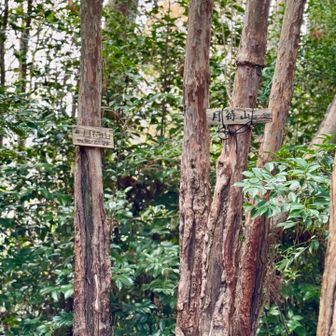月待山〜月が出るのを待つ山かと思ったら、
銀閣寺庭園で満月を待つとこの山の背後から月が出てくるということだった。