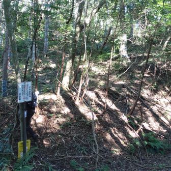 林道まで下りて、ここから登り返して高面山へ