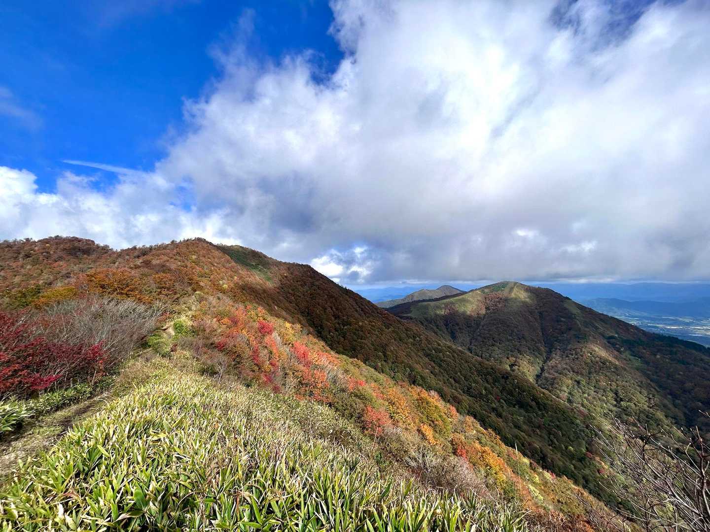 上蒜山、中蒜山、奥にチラッと下蒜山。
紅葉綺麗で見惚れました😍