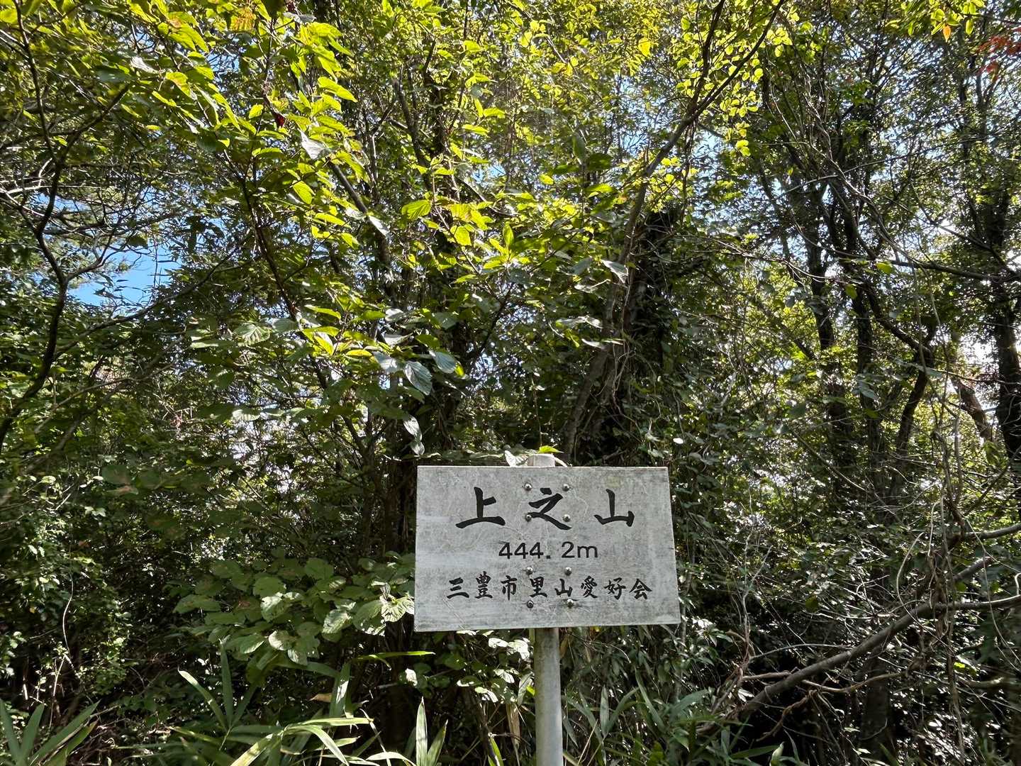 6️⃣高野山？（上之山）