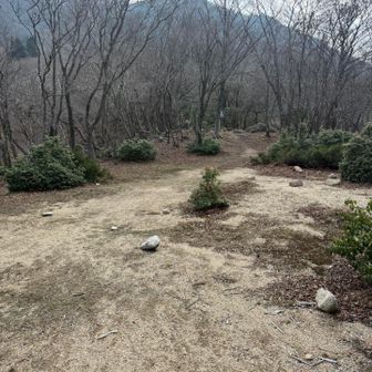 ここもテント張って良いのかな？