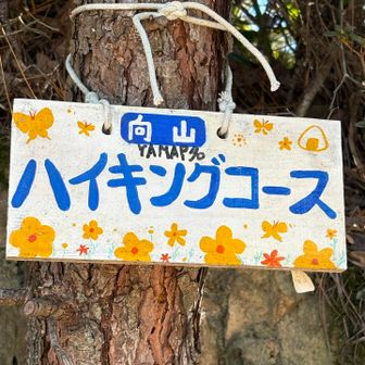 今日も楽しくハイキングコースから