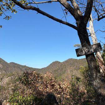 展望はまずまず