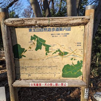 ここら辺は東生田緑地