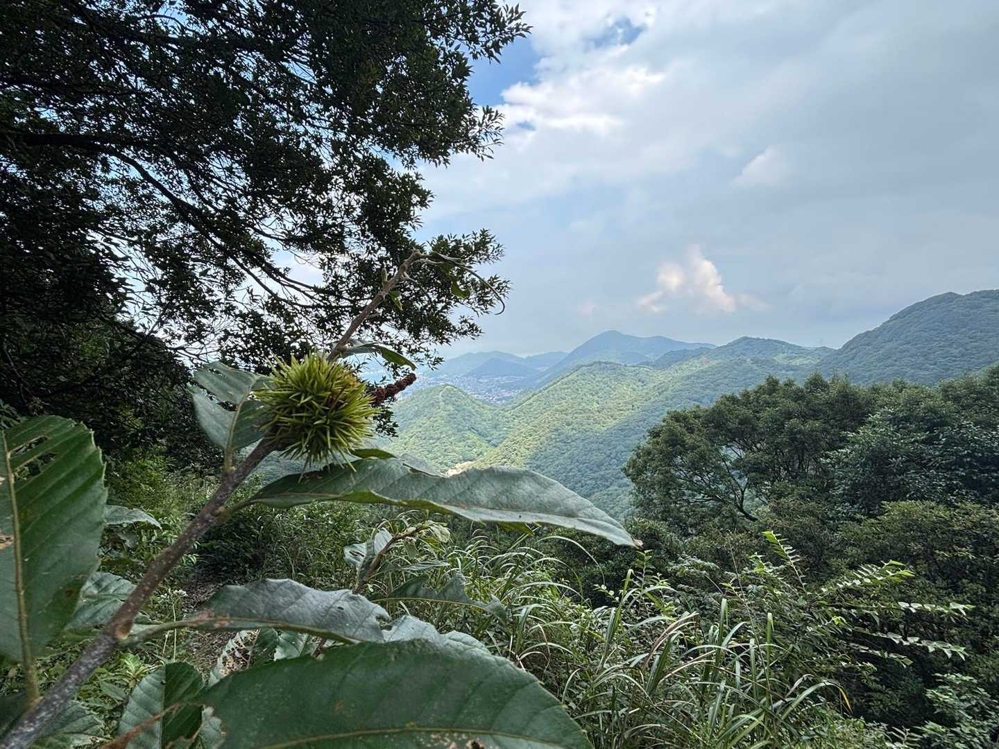 足立山-冨野山-大台ヶ原-戸ノ上山 縦走コースの写真