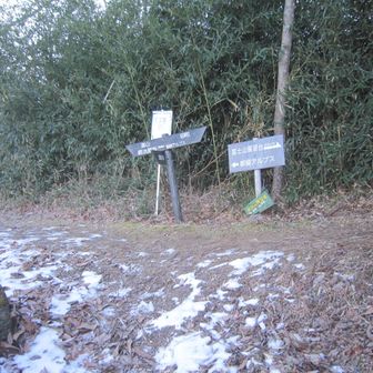 変電所脇の道を少し登ると分岐に出た。右は富士山展望台45m先
とある。勿論行くのだ！