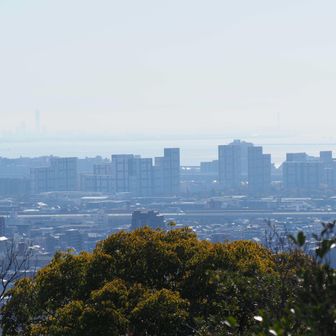 城山への途中の展望所から浜芦屋方面
