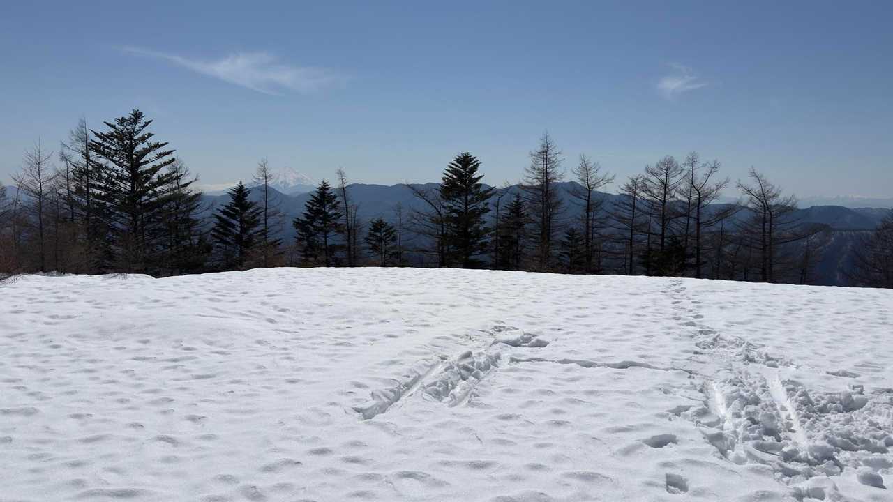 雲取山（鴨沢〜雲取山〜三条の湯泊〜鴨沢） の写真 16