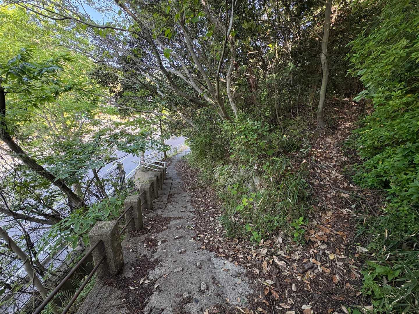 登山口に到着〜
