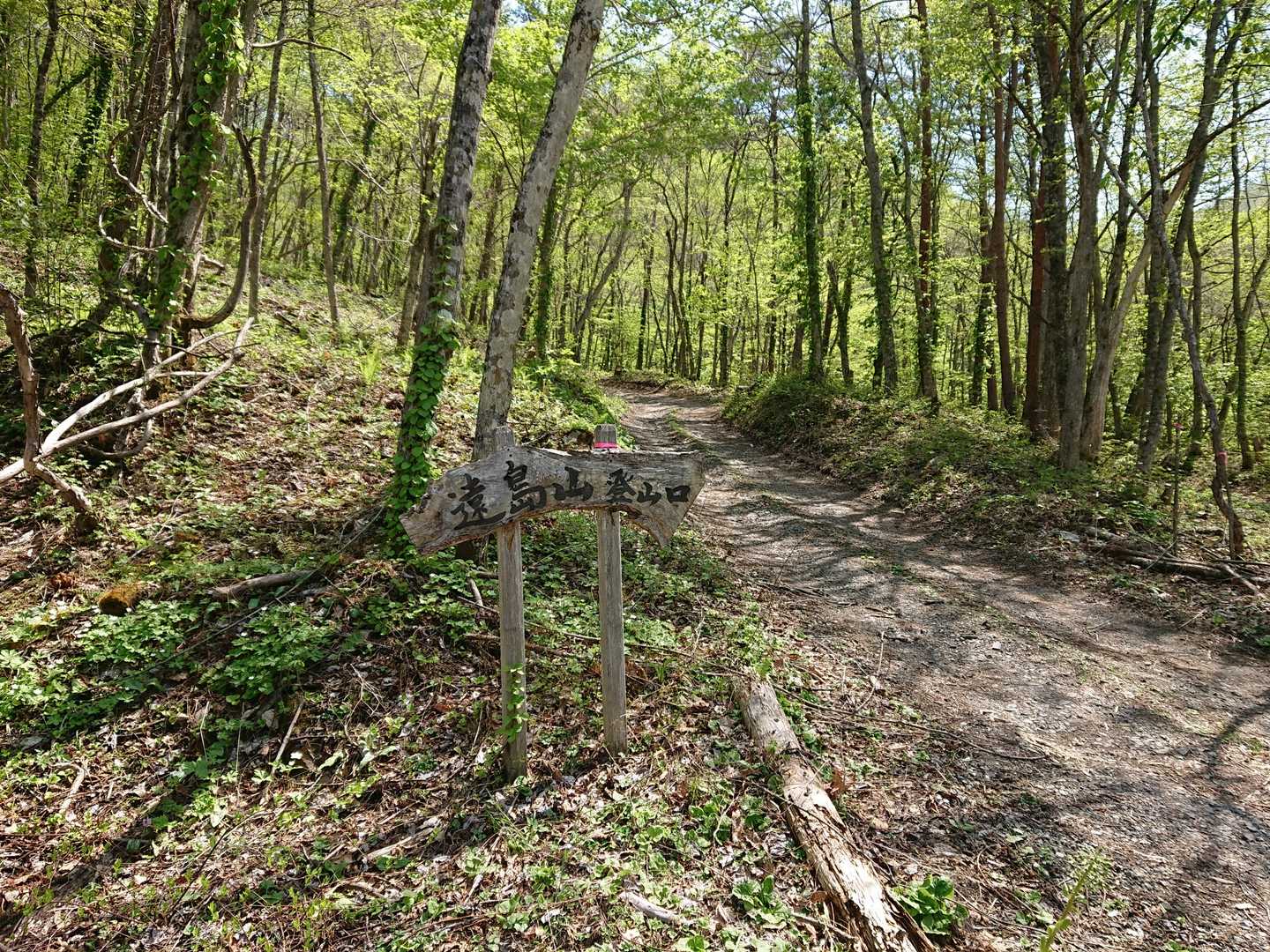 遠島山登山口。
遠島山荘までは、車で行けるくらいのダートです。