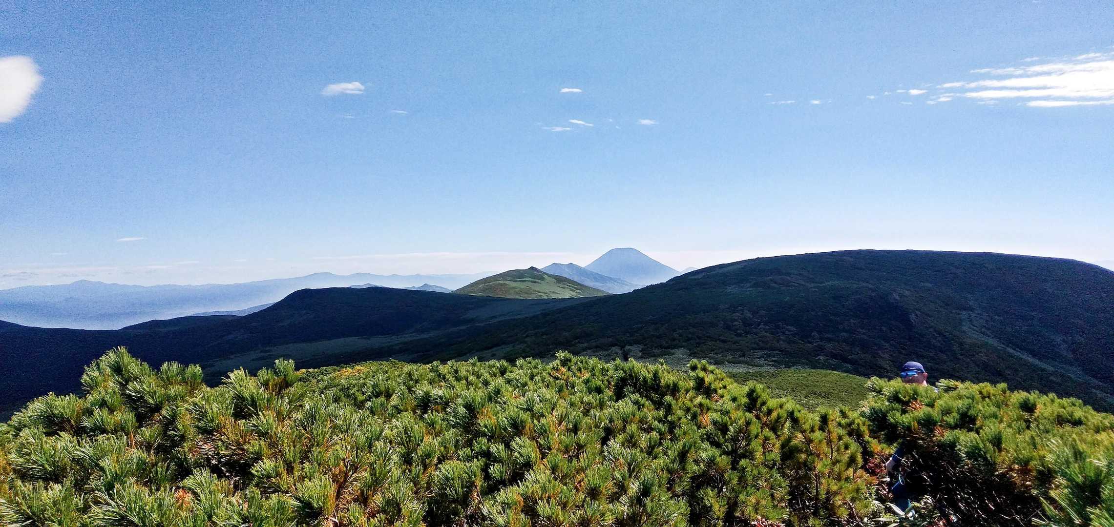 見えてきた😍ヌプリたち⛰️⛰️⛰️
遠くにうっすら無意根山〜並河〜中岳なども見える
這松の上に🐯さんの頭がひょっこり💦