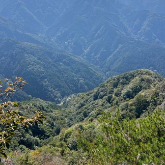 絶壁で怖いけど絶景です。
