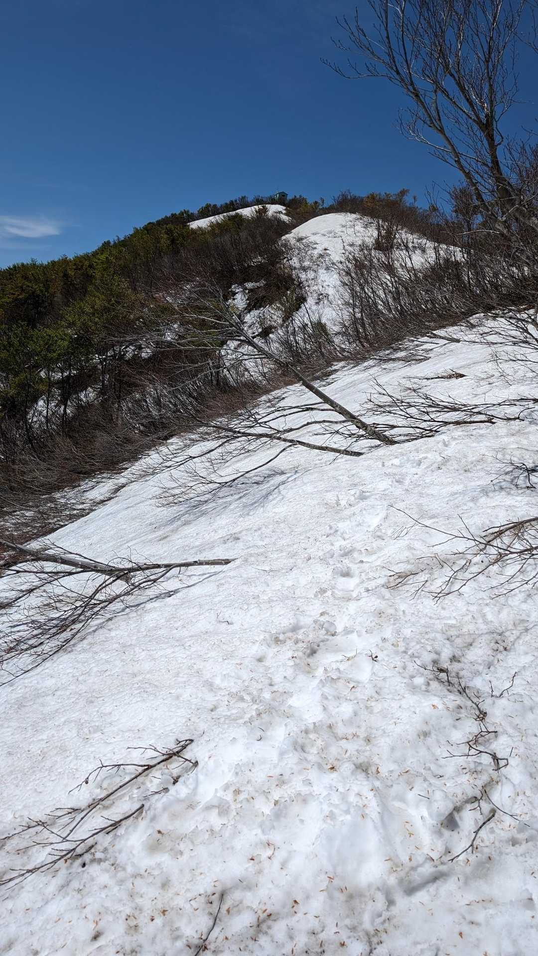 犬ヶ岳（坂田峠）の写真