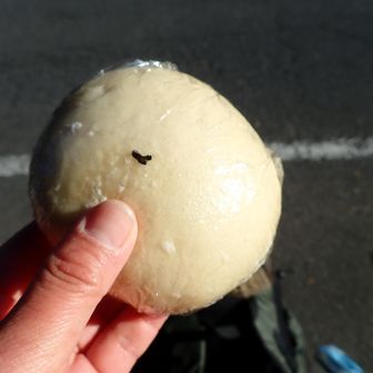 大きいです。直径10センチ位ある。
中身はあんこと味噌󠄀の二種類。150円。
味噌をここで頂きました。皮がもちもち、とても美味しい🤗お土産にしたあんこもとても美味しかった🤗
富士山はよく見れなかったけど、おまんじゅうで満足😋