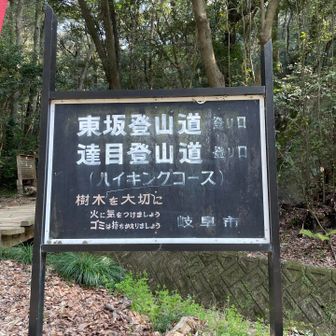 ハイキングコースから山道開始🥾