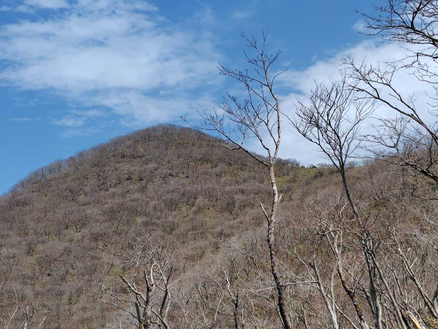 那岐山山頂👀