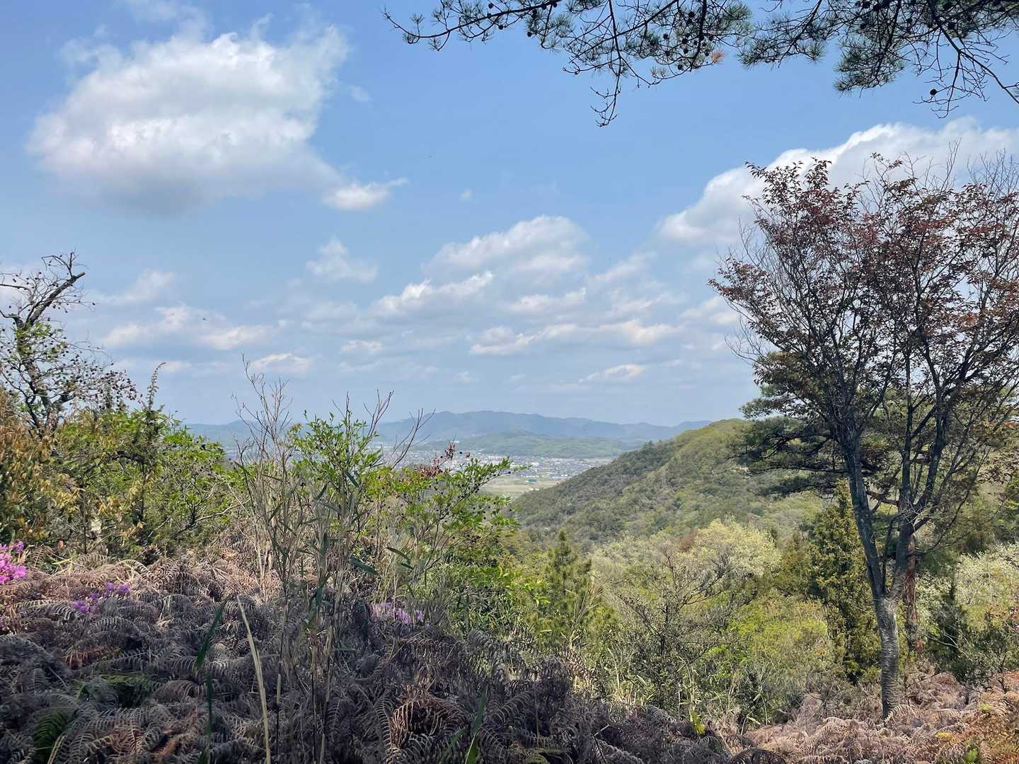那岐山とか、後山が見えるらしい