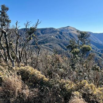 金冠山頂上より。
右奥が多分達磨山。
あそこから歩いてきた。