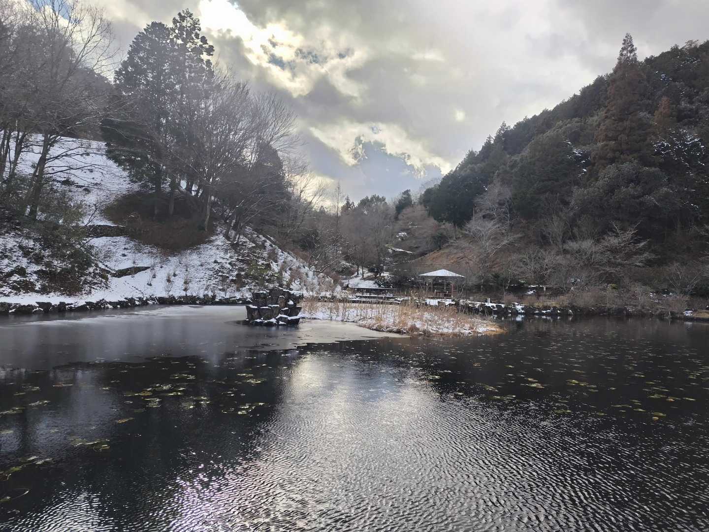 道沿いに足を運ぶとアジサイの池に到着、これを巻いて