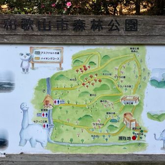 和歌山市森林公園
行楽シーズンの土曜日なのに
人は少なかった

恐竜と動物を見に来ているお子様がいました😊