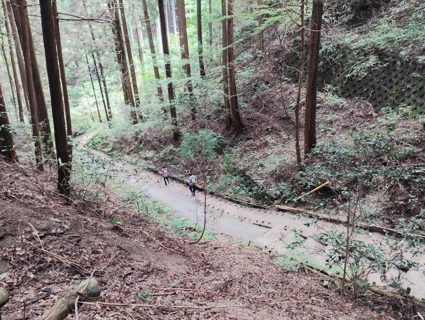 千早本道コースの写真