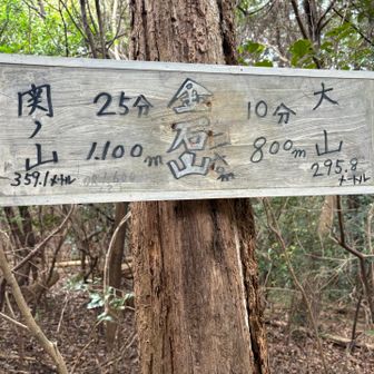 登頂！
どうしても関の山がさっかきら肉の山に見えてしまう。この食いしん坊め！