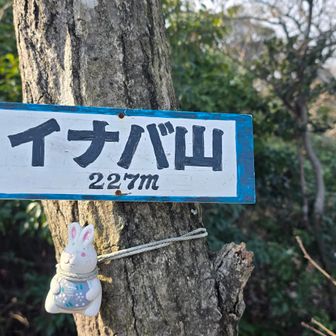 イナバの白うさぎ？
あれは鳥取だよね🧐