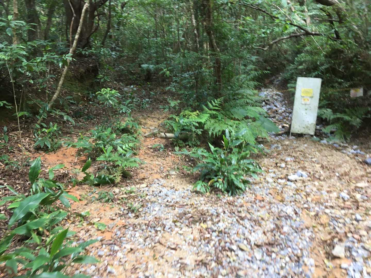 この看板が見えた地点でストップ⛔️
