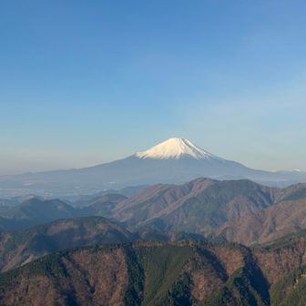 表尾根は富士が綺麗に見えていいですよねぇ。