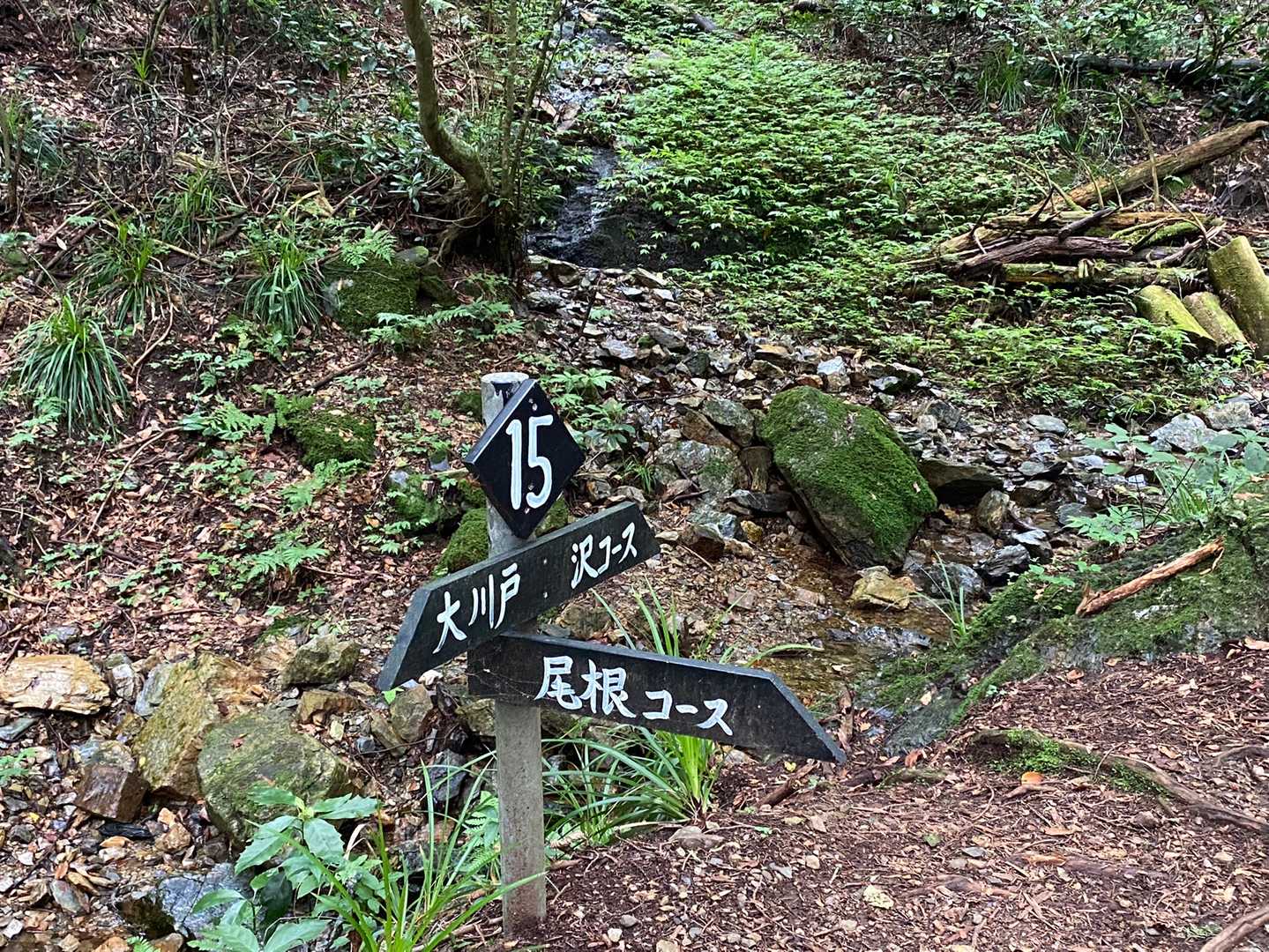 沢コースへの分岐