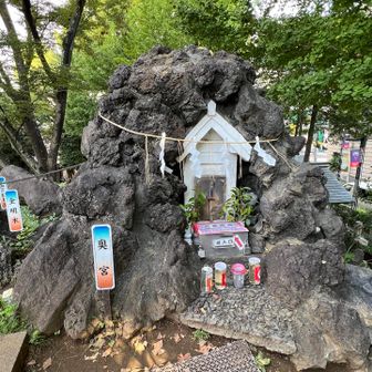 山頂