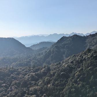 しかし、めちゃくちゃいいお天気☀