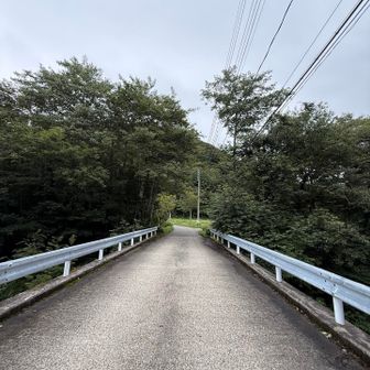 戻ってきました