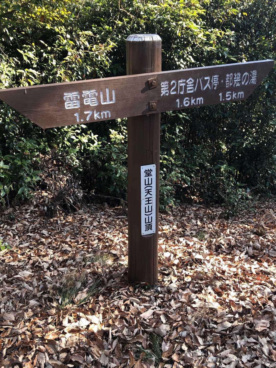 ここが堂山山頂です。YAMAP200座目でした。