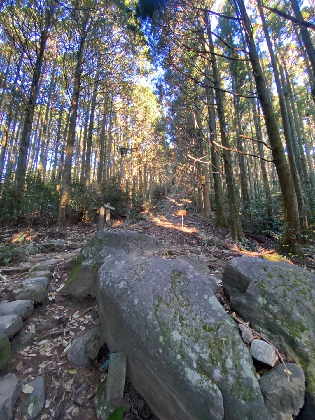 岩屋山 往復コースの写真