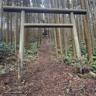 表参道 一ノ鳥居と言ったところでしょうか