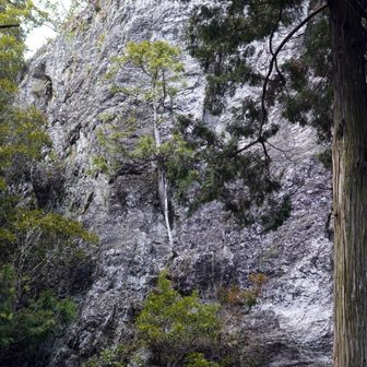 神社背後の、御神体「甑岩」
永祚元(989)年に一夜で出現したという伝説が残る、圧巻の巨岩