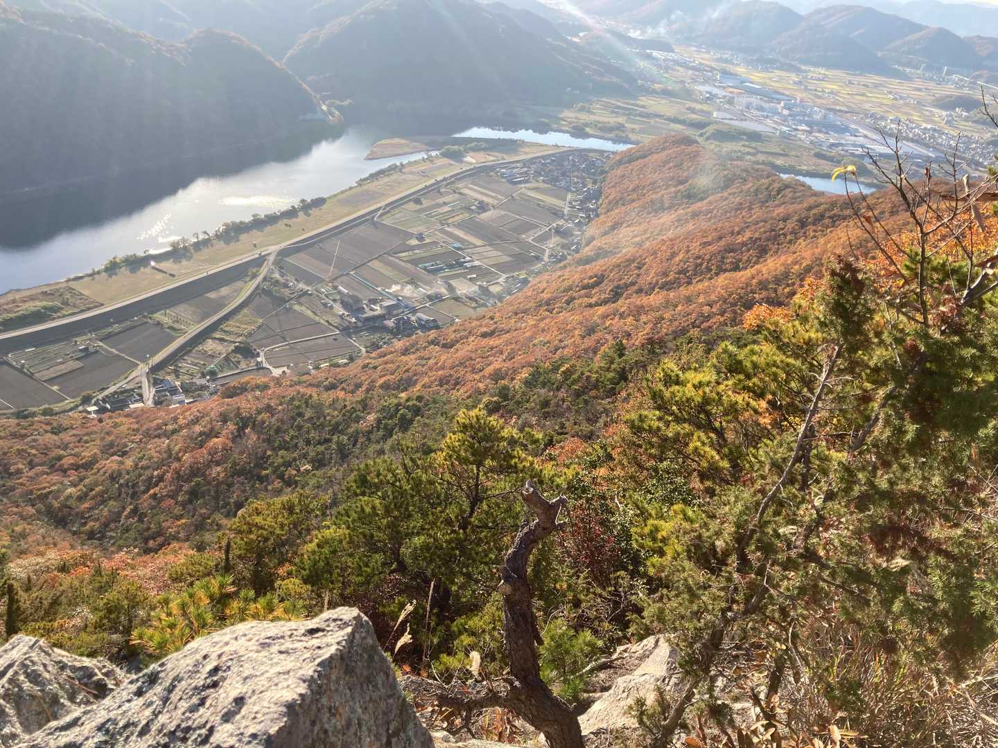 ポスティングした地区を見下ろして
