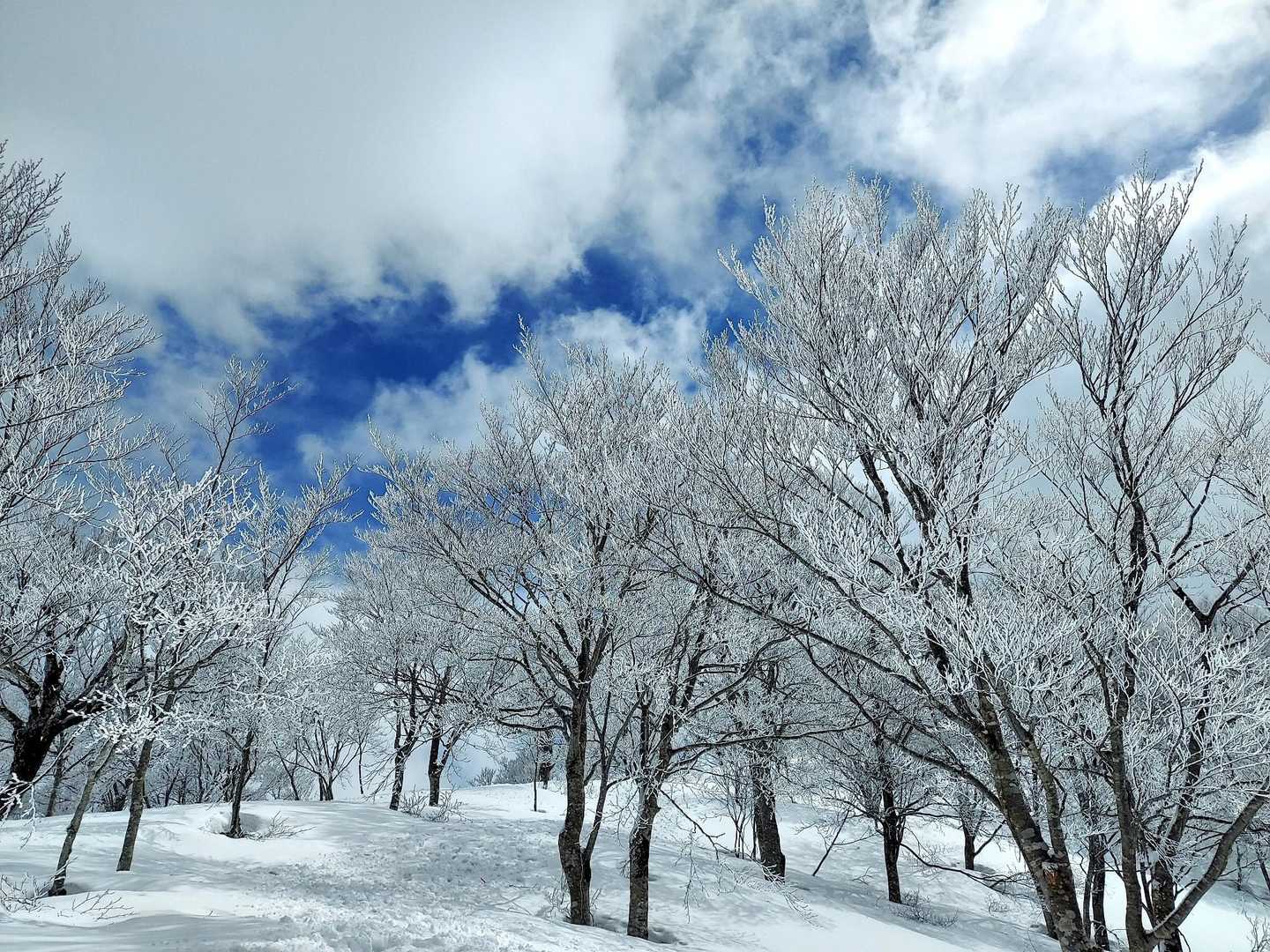 素敵な景色😍