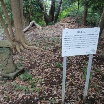 三王山の三王社