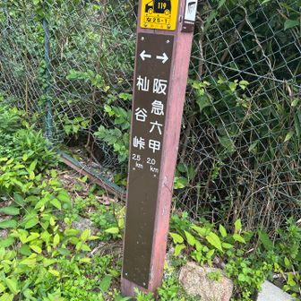 まずは杣谷ルートへ