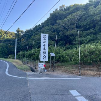 向田港を左に進むと見えてくる案内、ここを入って行きました。