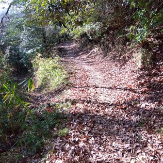 くさかコースの左下り道が七面山へ