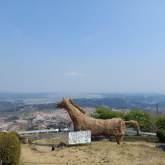 春ですね🌸

好きな季節です