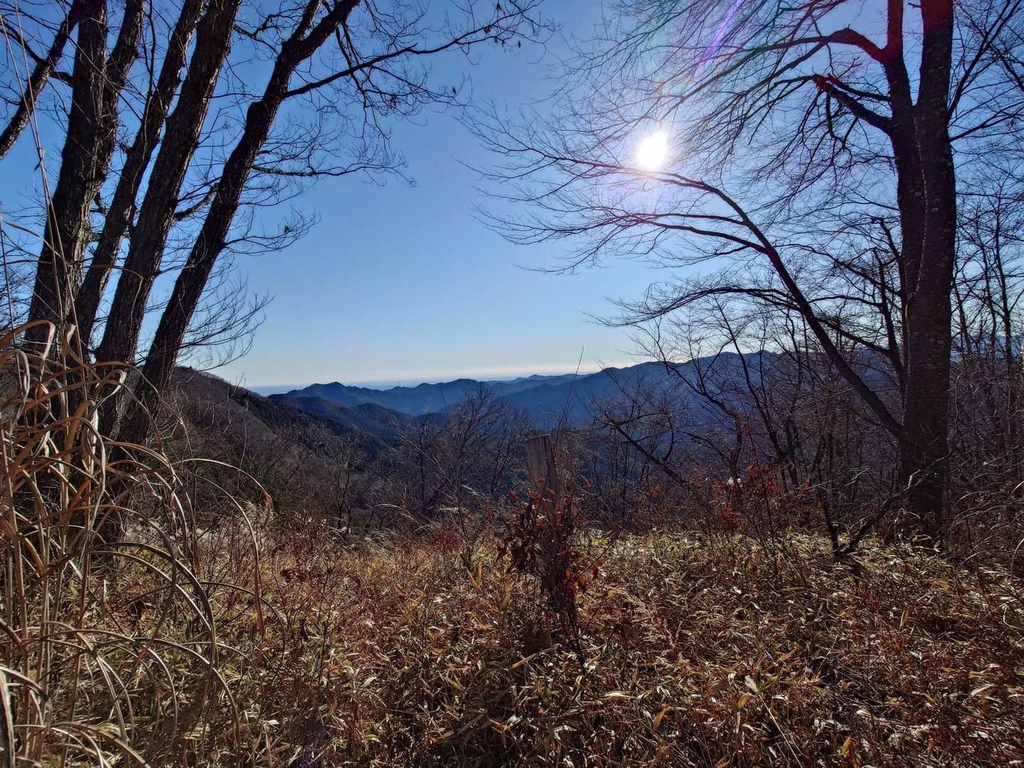 笹平バス停-松生山登山口-内蔵ノ助山-払沢ノ峰-天領山-上 縦走コースの写真