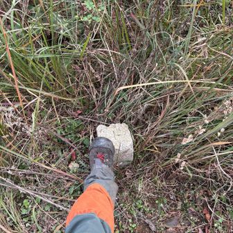 見落とす所だった三角点
『蔵多山』新規　ゲット！