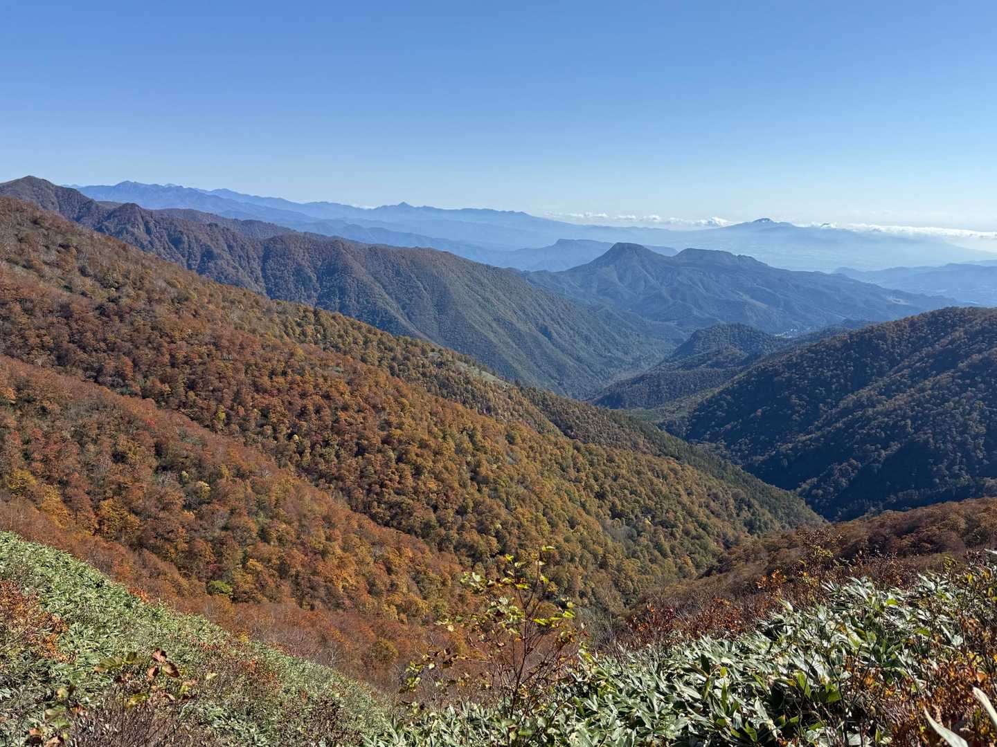 三国峠-三国山-三角山-大源太山 周回コースの写真