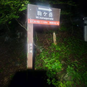 桂小場駐車場には先着９台ほど。傾斜があるので車中泊は駒ヶ岳SAで1.5時間仮眠💤
車の仮眠用でネットの網戸を購入したので涼しく快適でした👍